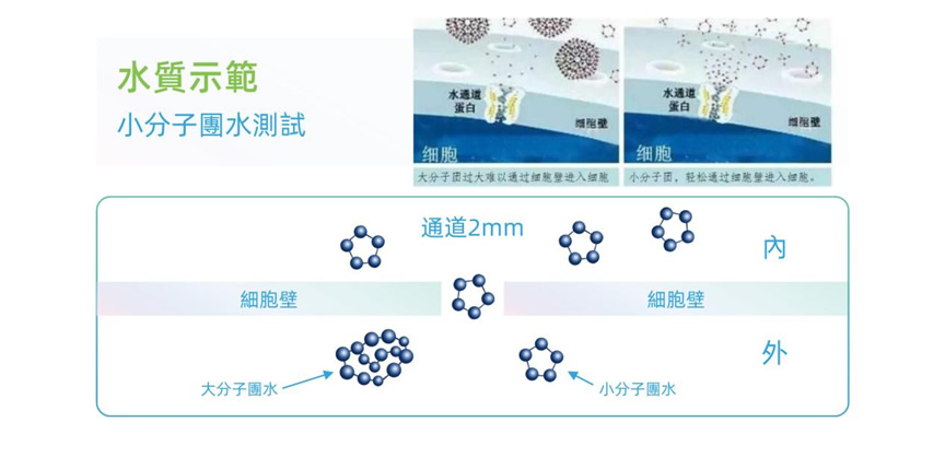 細水分子團